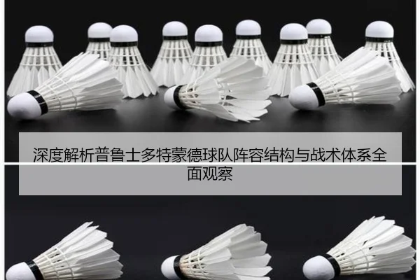 深度解析普鲁士多特蒙德球队阵容结构与战术体系全面观察